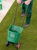 Feeding the lawn