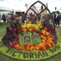 Episode 12: Council Flower Beds, Gardening Jobs and Plants of Interest for March Episode 12: Council Flower Beds, Gardening Jobs and Plants of Interest for March